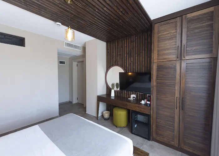 Enso Koyici 酒店 阿拉恰特